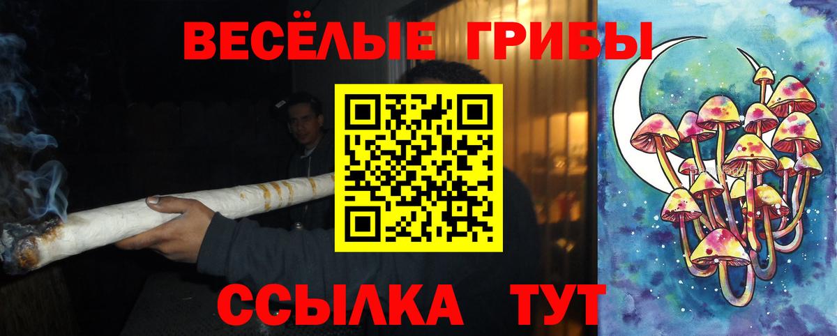 что такое   Галлюциногенные грибы Psilocybine cubensis  Вход с VPN  Холмск 