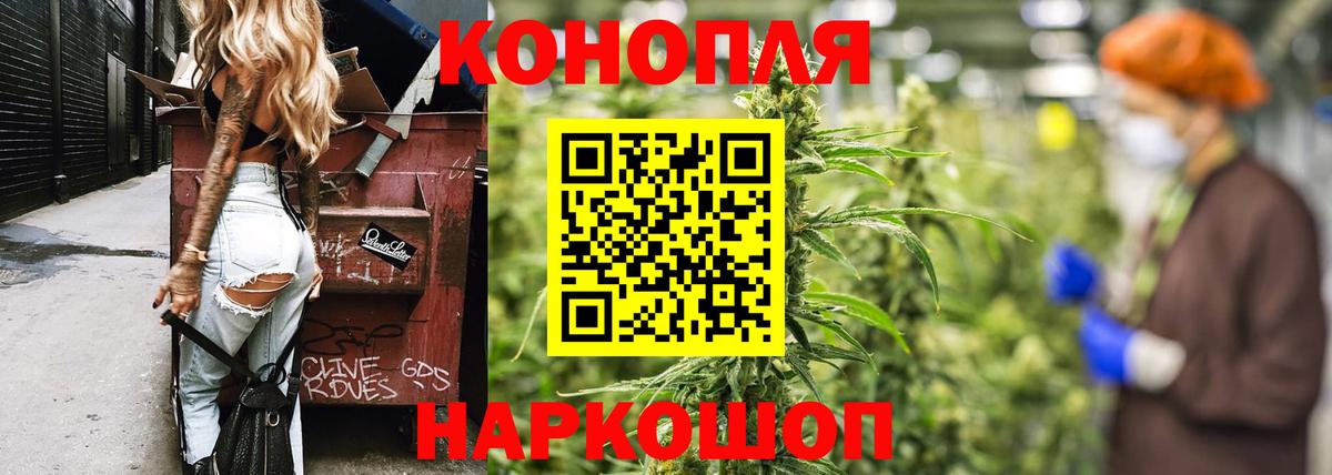 Каннабис OG Kush Холмск